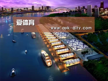 案例展示八(图1)