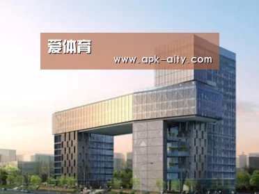 案例展示四