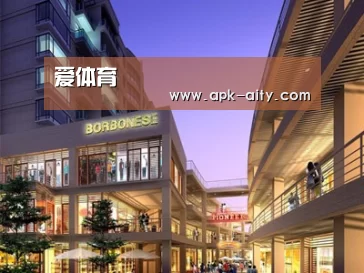 案例展示一